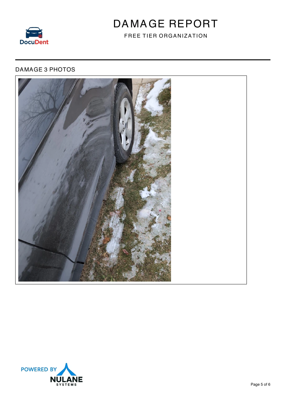 Sample report page 5: Supporting left rear door photograph.